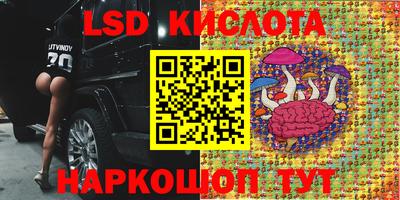 шишки Краснознаменск