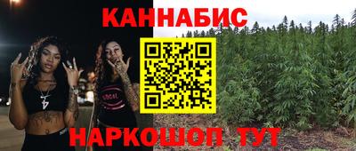 шишки Краснознаменск