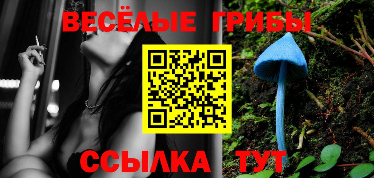 как найти закладки  Галлюциногенные грибы Cubensis  Вход с VPN  Зима 